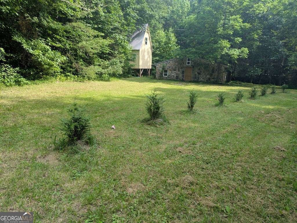 1249 Trackrock Gap Road Blairsville - 4