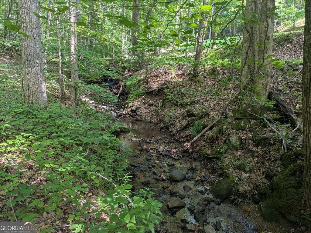 1249 Trackrock Gap Road Blairsville - 8