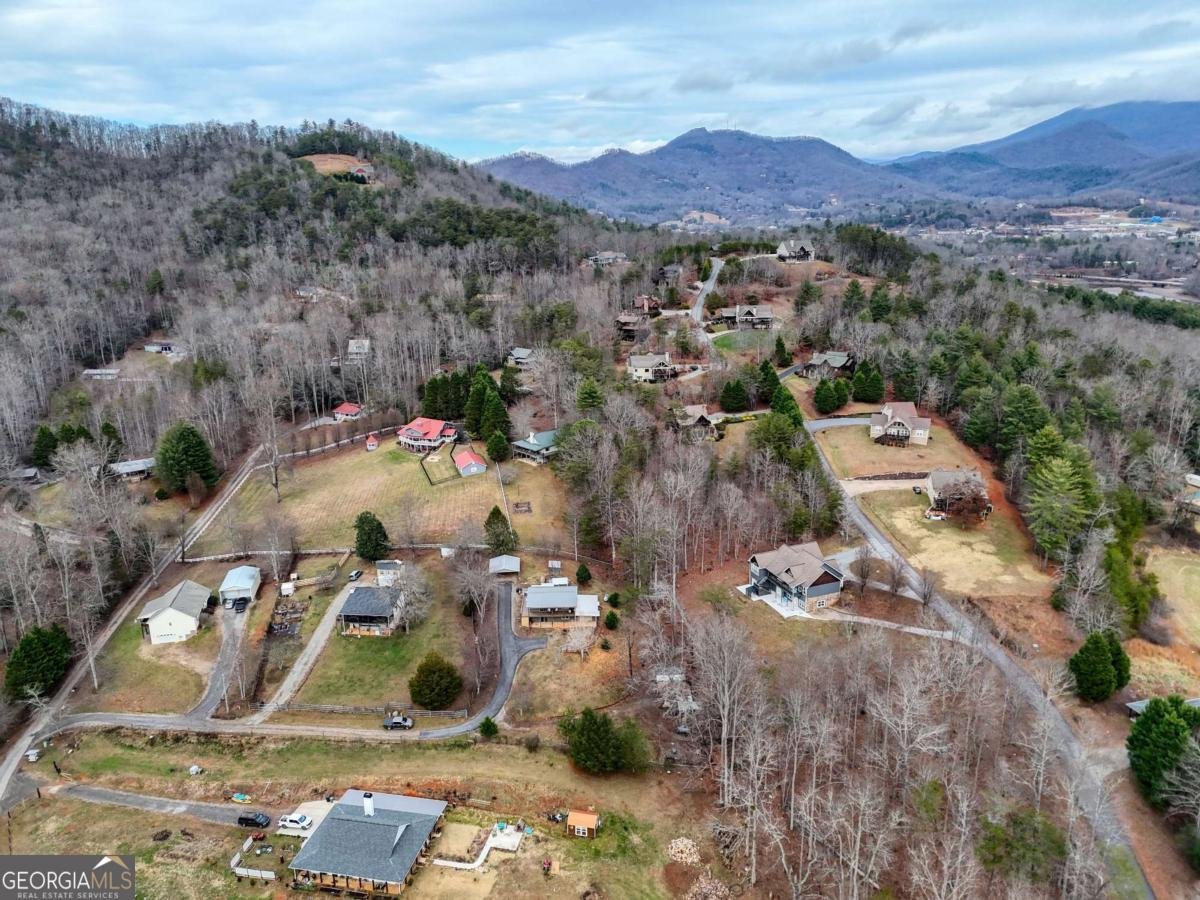 2276 Lovingood Road Hiawassee - 52