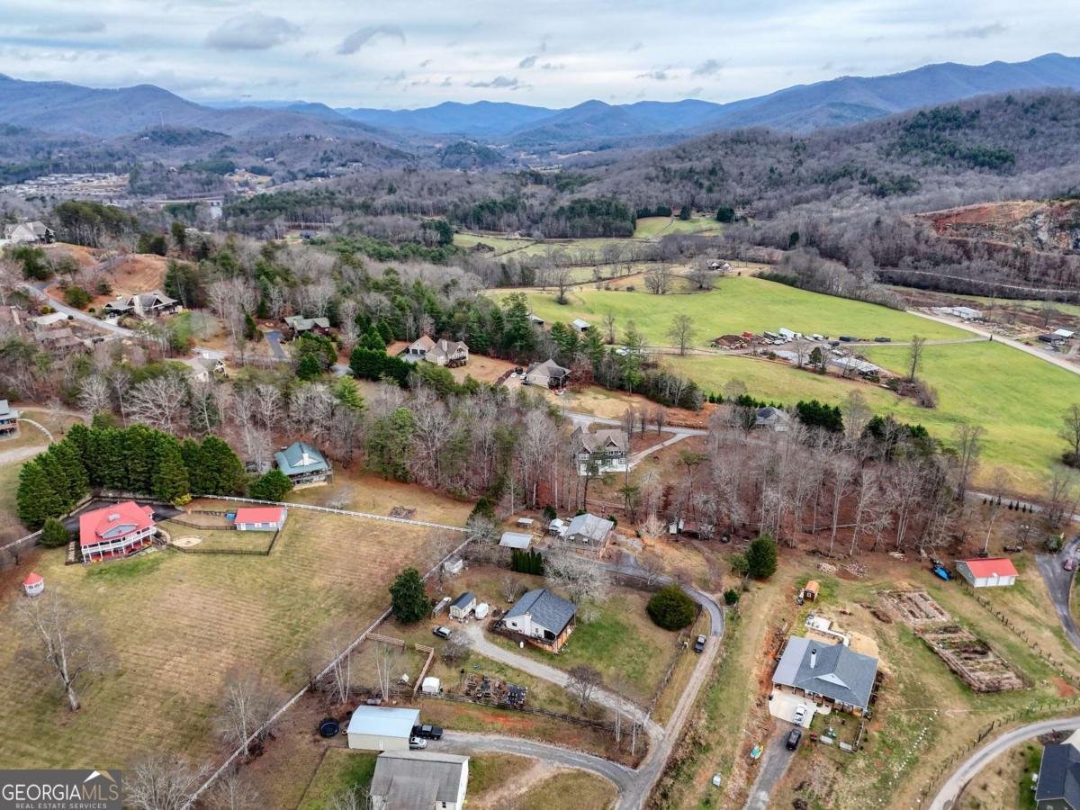 2276 Lovingood Road Hiawassee - 53