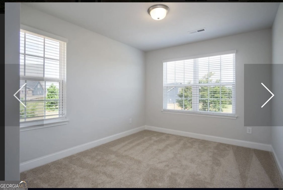 228 Thunder Valley Dawsonville - 17