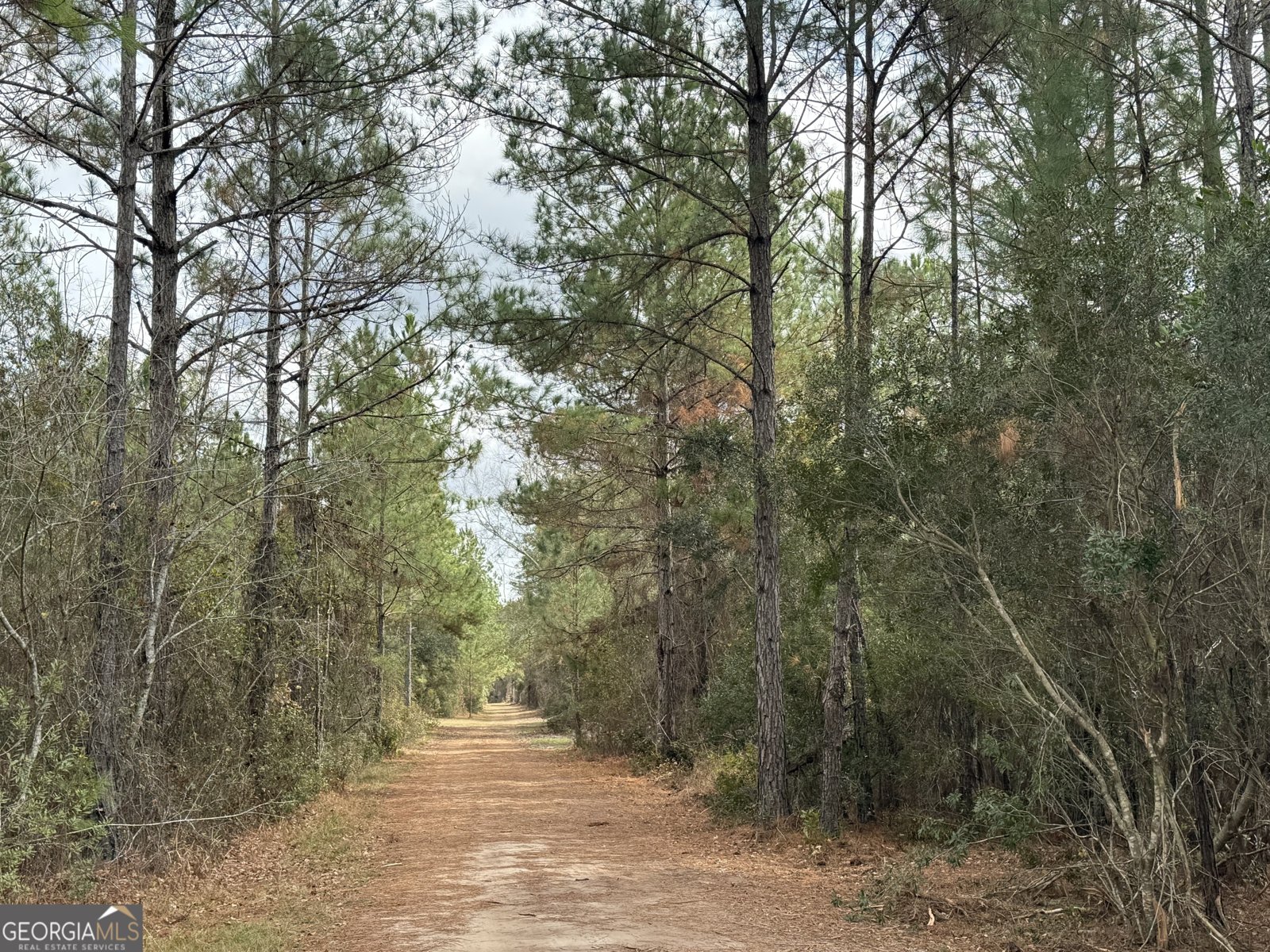 6911 Old Hortense Road Hortense - 20