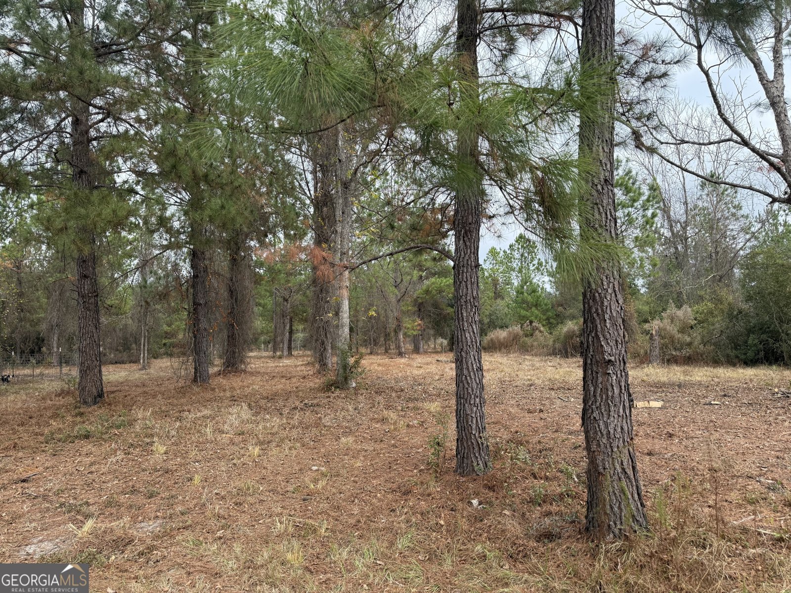 6911 Old Hortense Road Hortense - 21