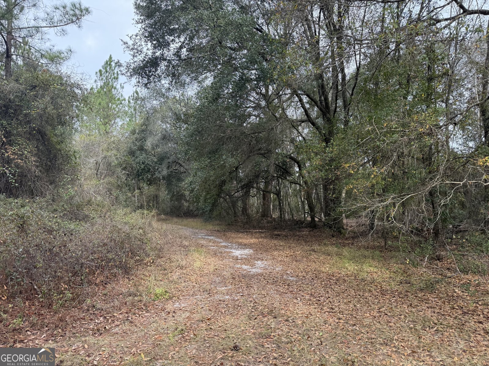 6911 Old Hortense Road Hortense - 22