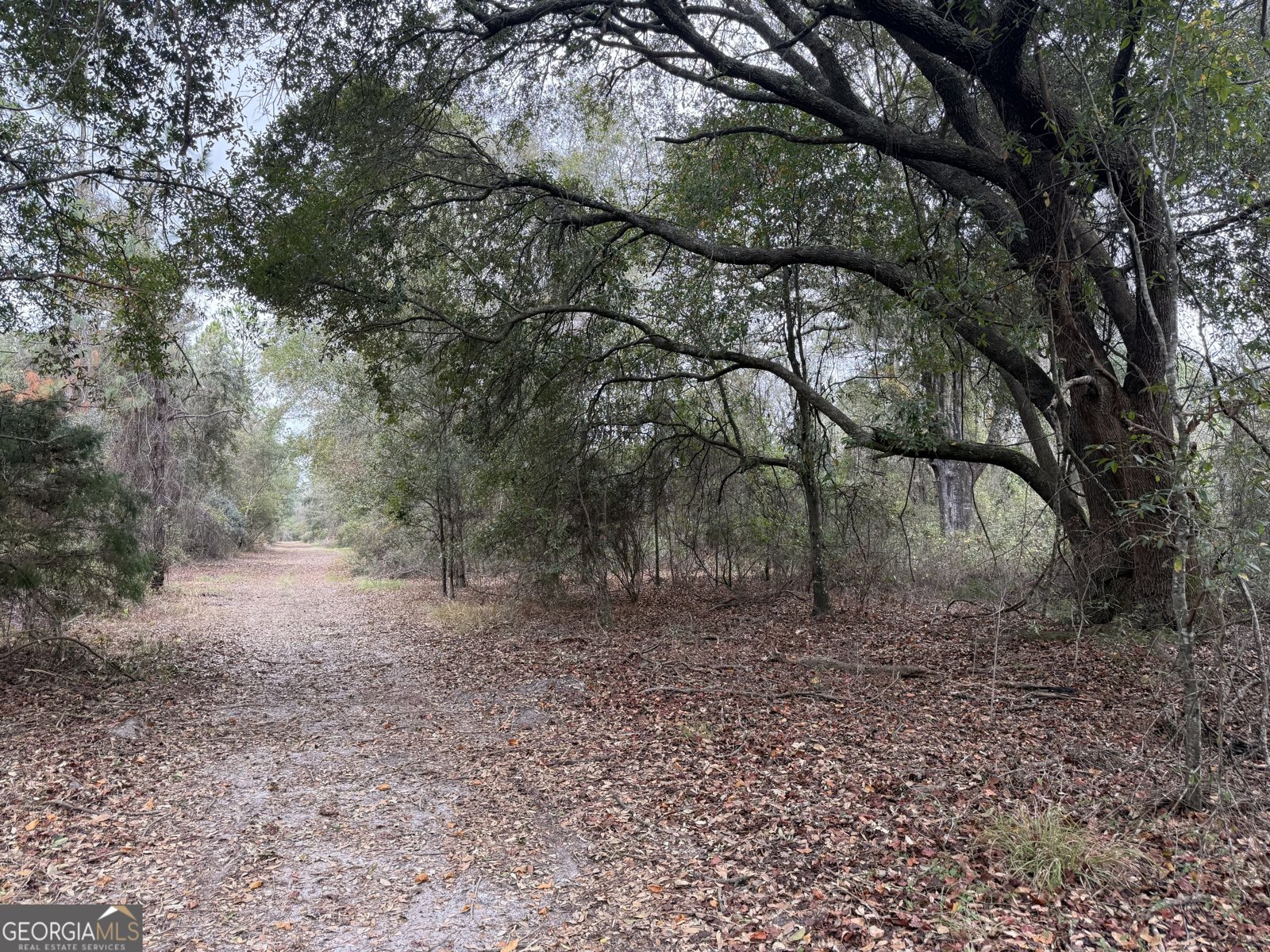 6911 Old Hortense Road Hortense - 23