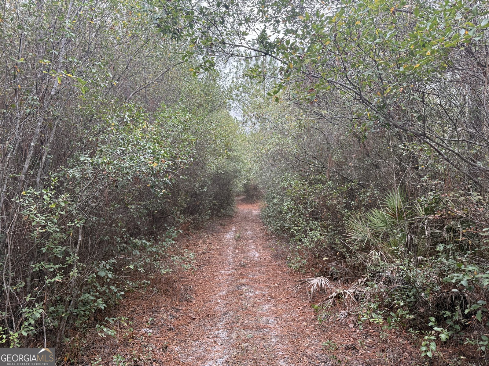 6911 Old Hortense Road Hortense - 24