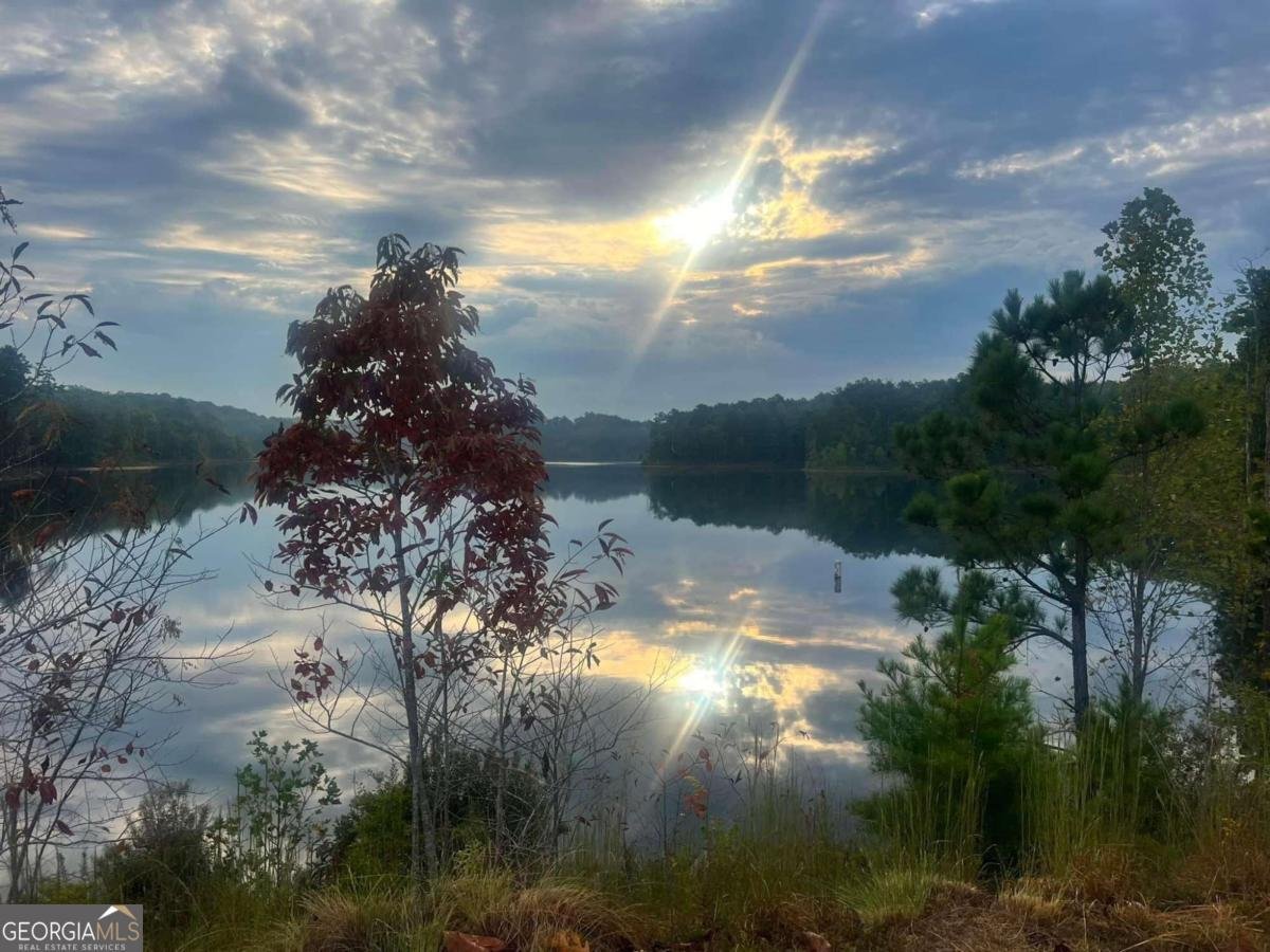 1041 Pine Bark Lane Canton - 12