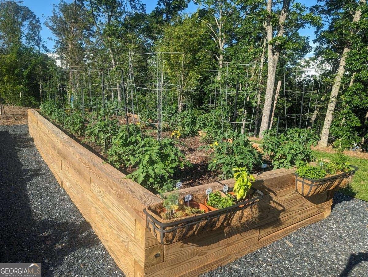 1041 Pine Bark Lane Canton - 15