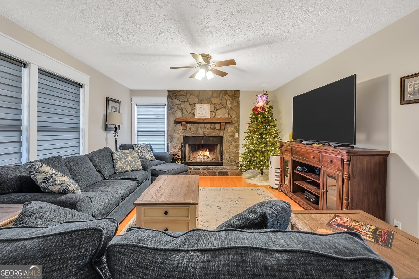 1392 Luella Road Locust Grove - 4