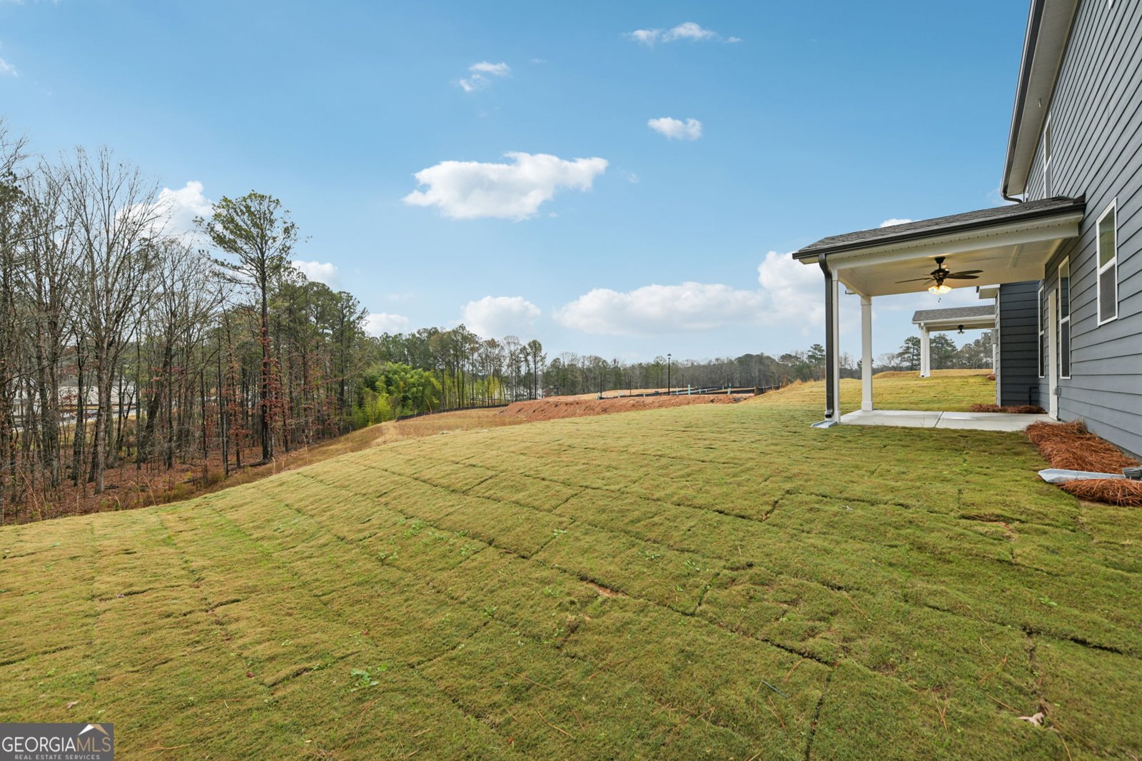 770 Marlin Drive Loganville - 47