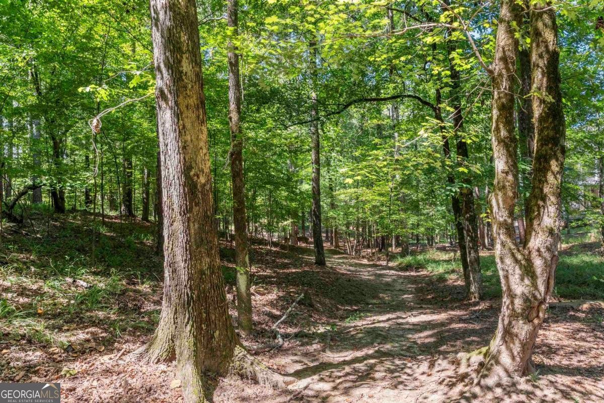 1000 Troublesome Creek Lane Greensboro - 47