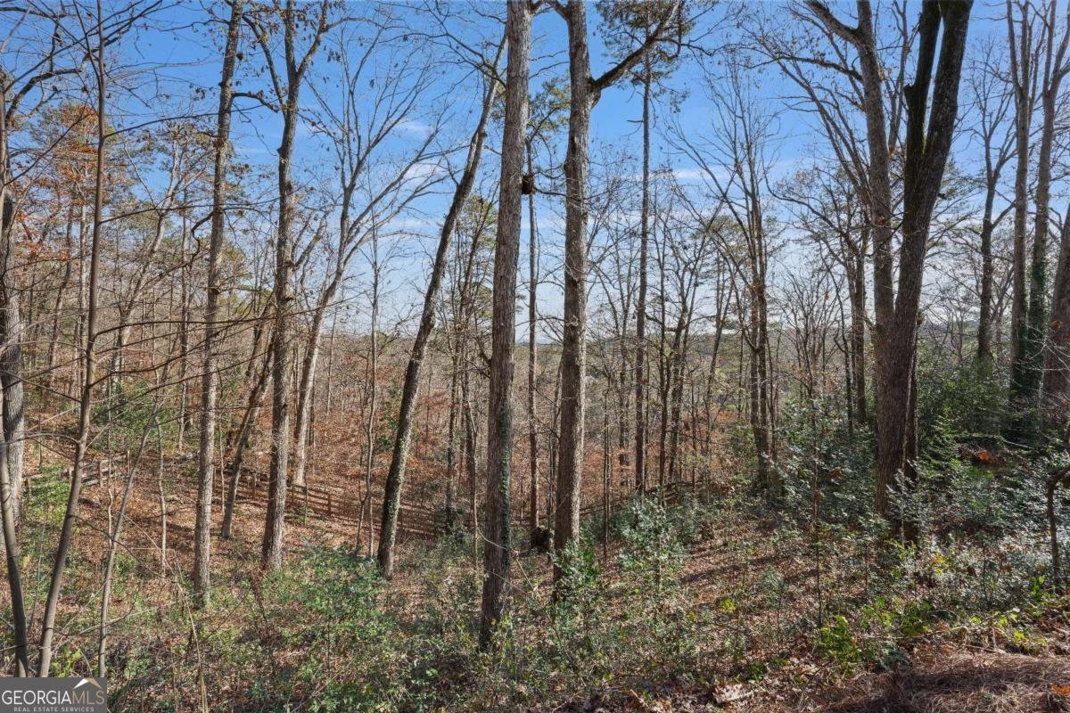 180 River Court Parkway Sandy Springs - 32