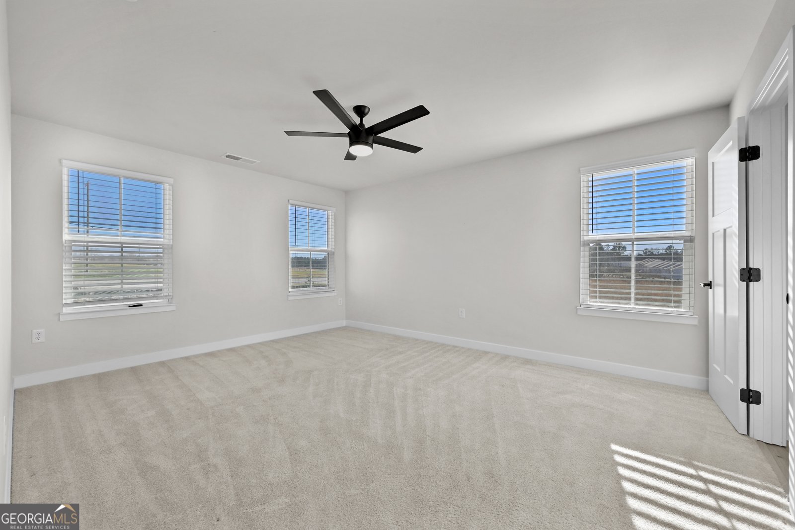 232 Salt Lake Lane Hoschton - Photo 18