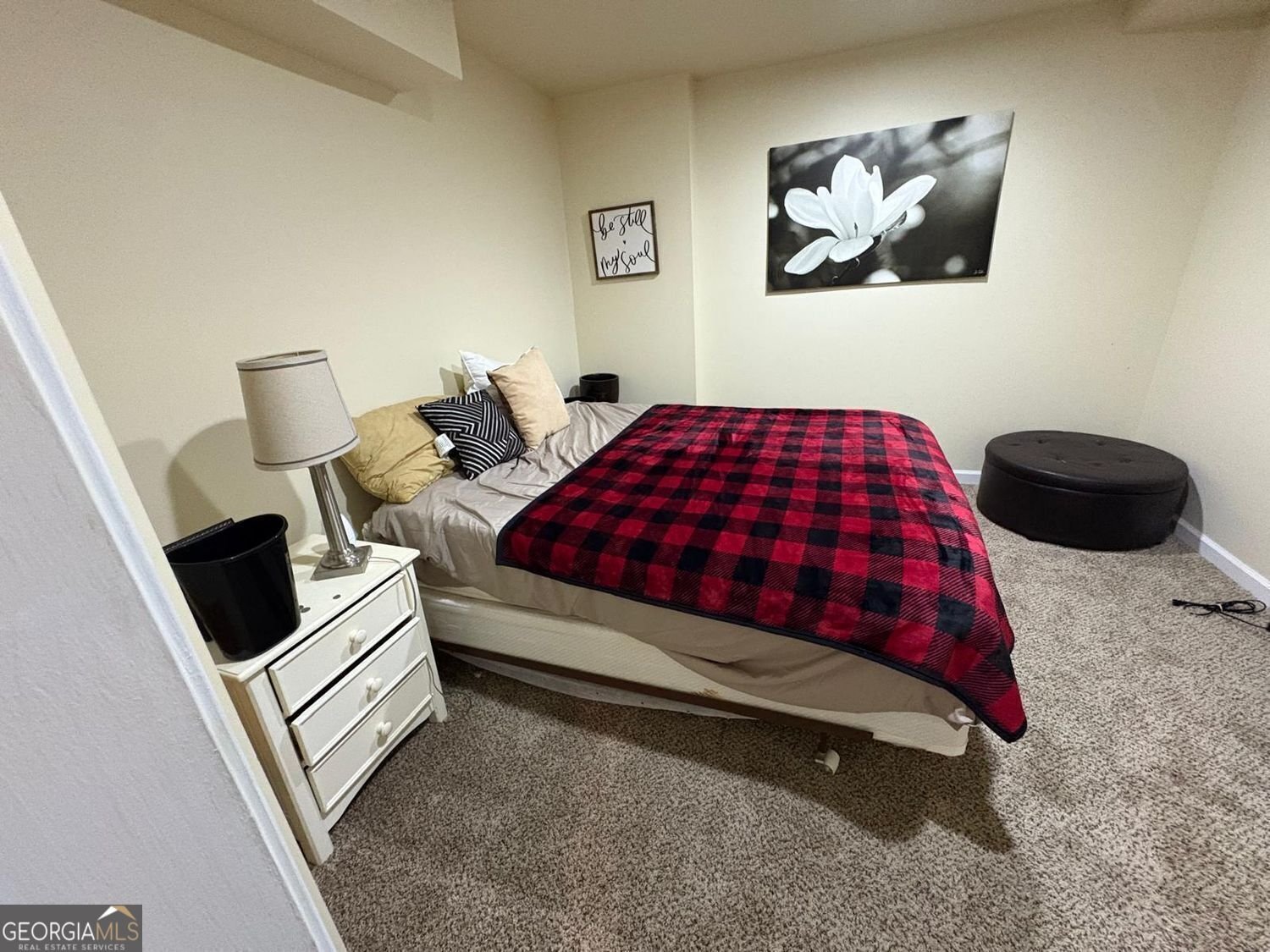 2727 Cedar Terrace Conyers - 29