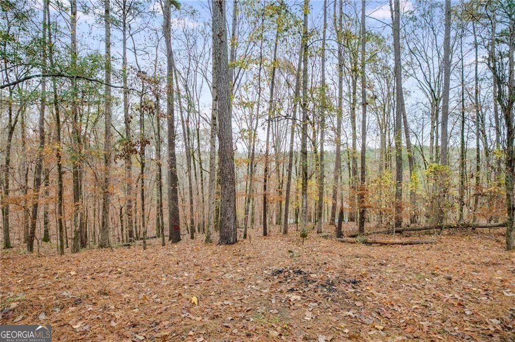 155 Indian Bend Drive Lagrange - 45