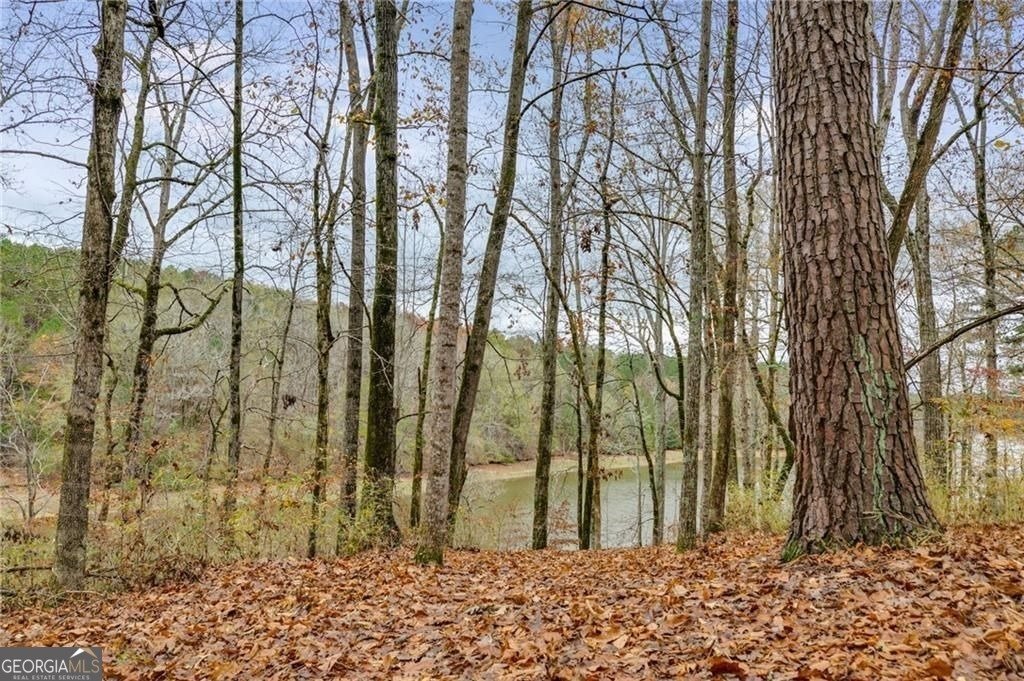 155 Indian Bend Drive Lagrange - 46