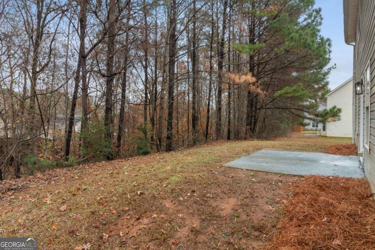 4390 Pipestone Place Douglasville - 26