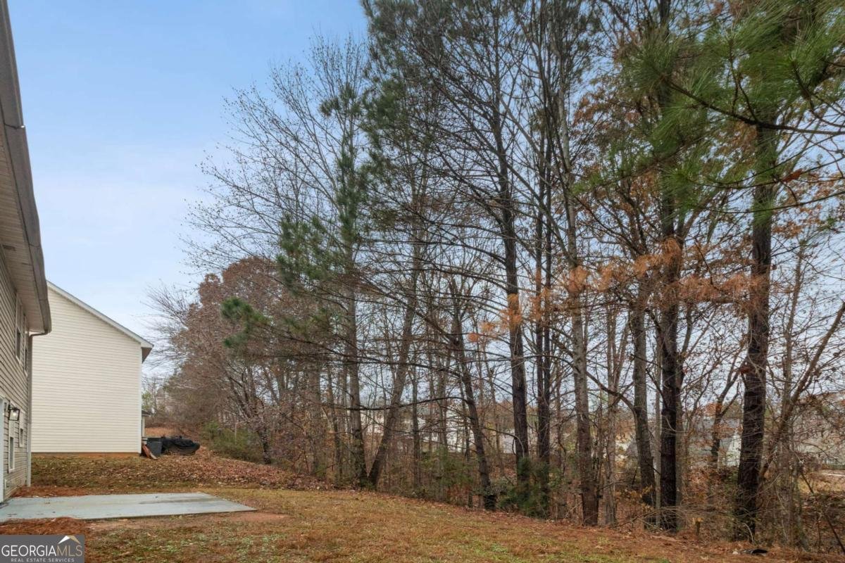4390 Pipestone Place Douglasville - 30