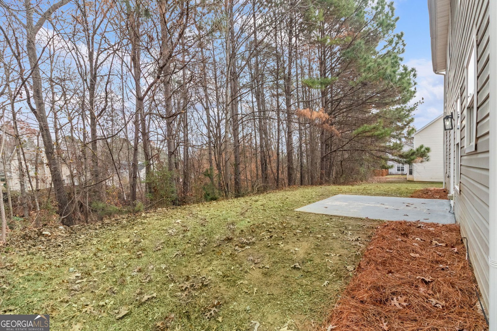 4390 Pipestone Place Douglasville - 43