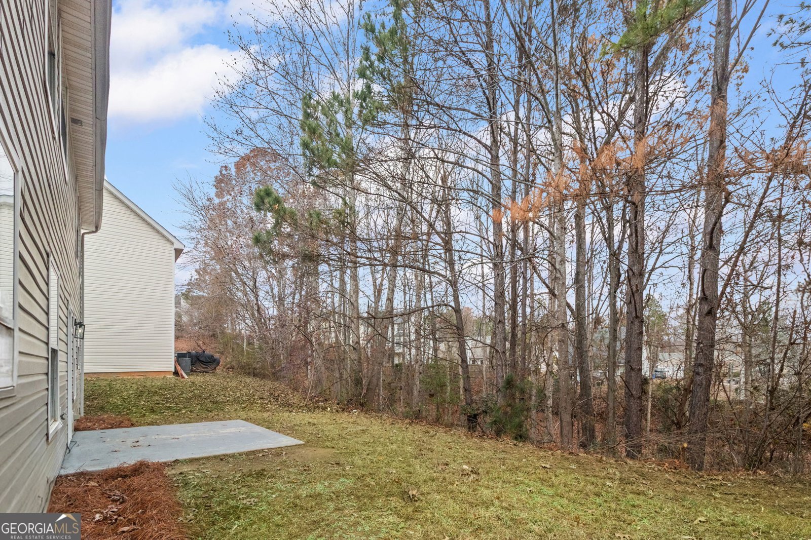 4390 Pipestone Place Douglasville - 44