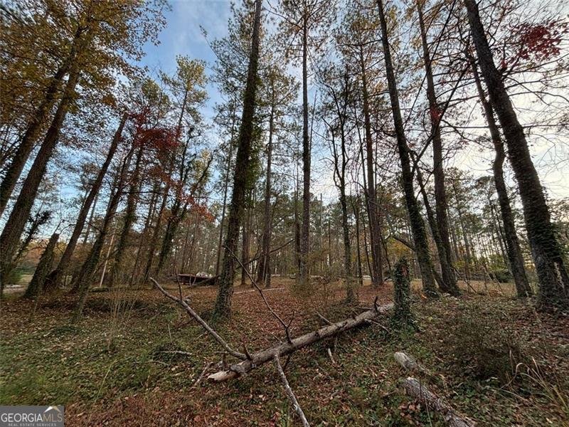 4926 MARONEY MILL Road Douglasville - 22