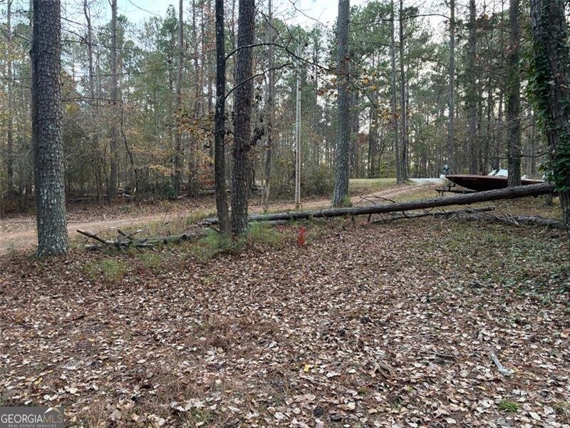 4926 MARONEY MILL Road Douglasville - 26