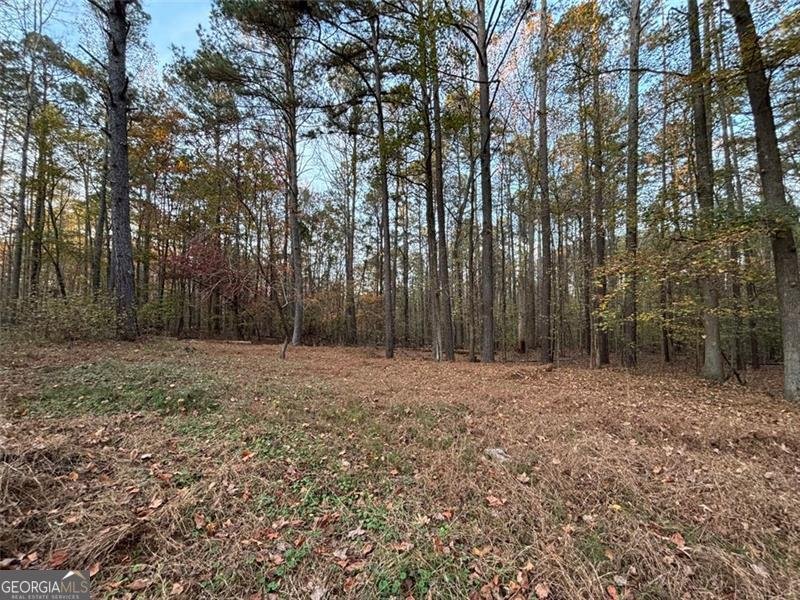 4926 MARONEY MILL Road Douglasville - 7