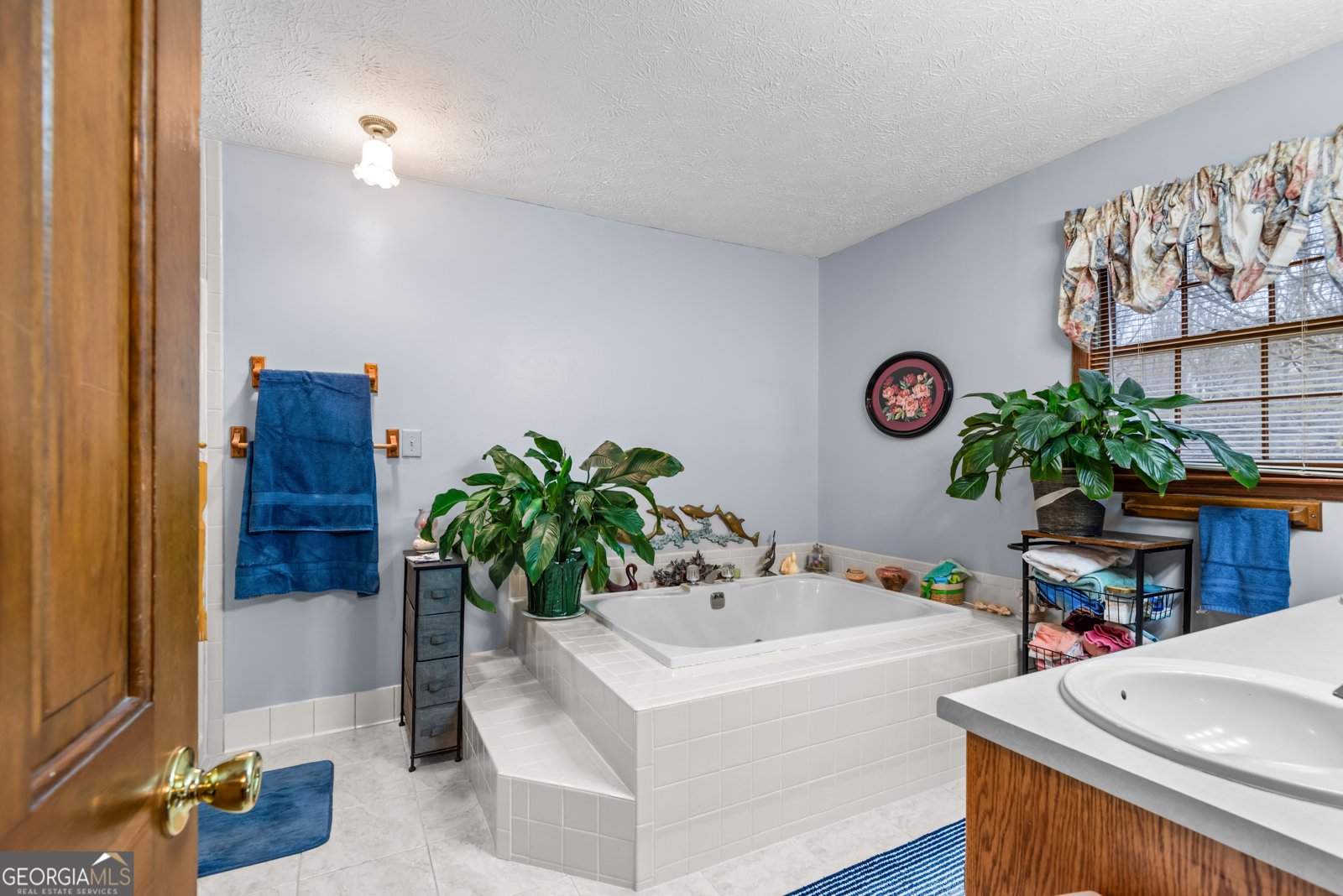 102 Hayes Circle Rex - 22