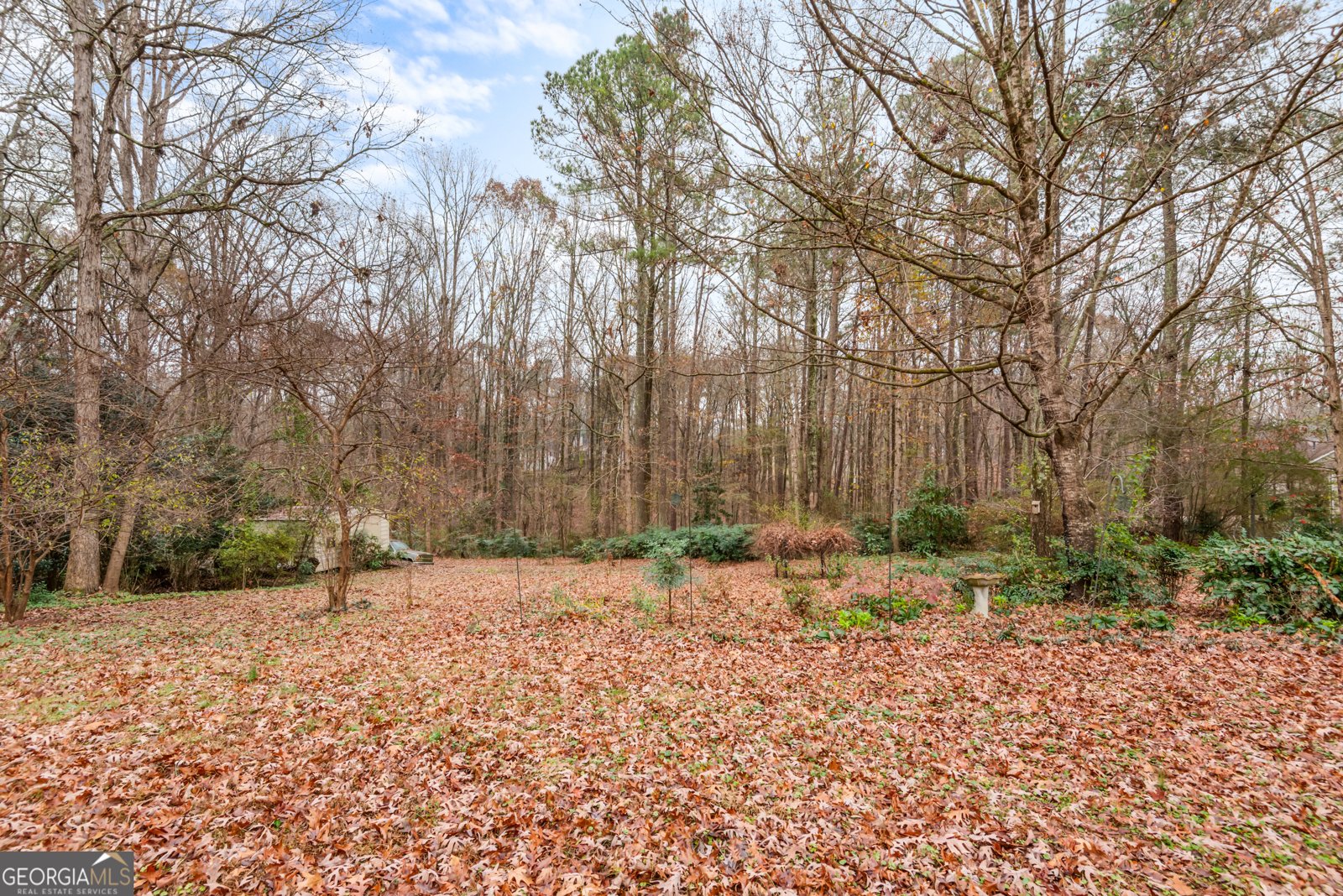 102 Hayes Circle Rex - 43