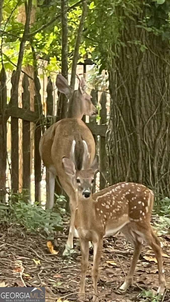 4075 Dream Catcher Drive Woodstock - 3