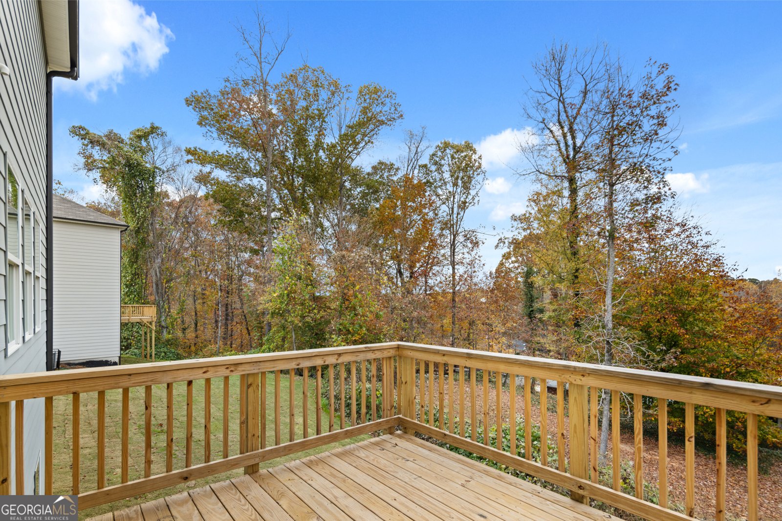 318 CEDAR HOLLL Maplewood Drive Conyers - 20