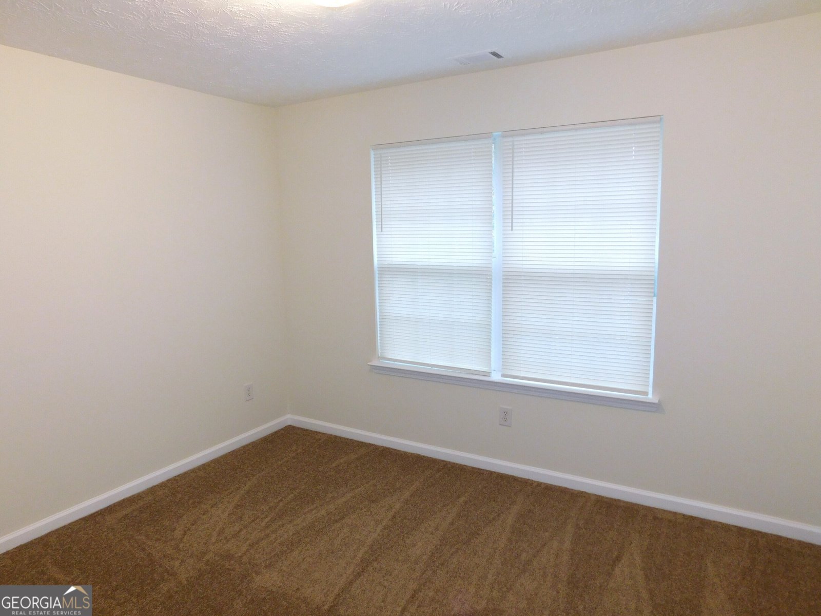 1595 Stephens Pond View Loganville - 18