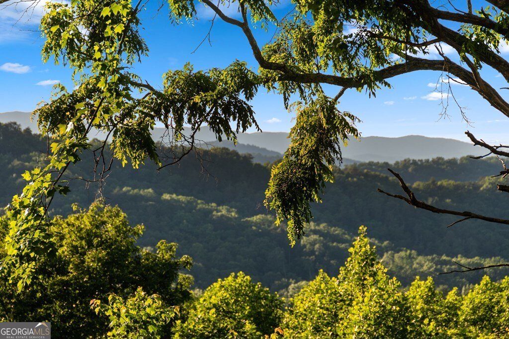 55 Grand Vista Blue Ridge - 3