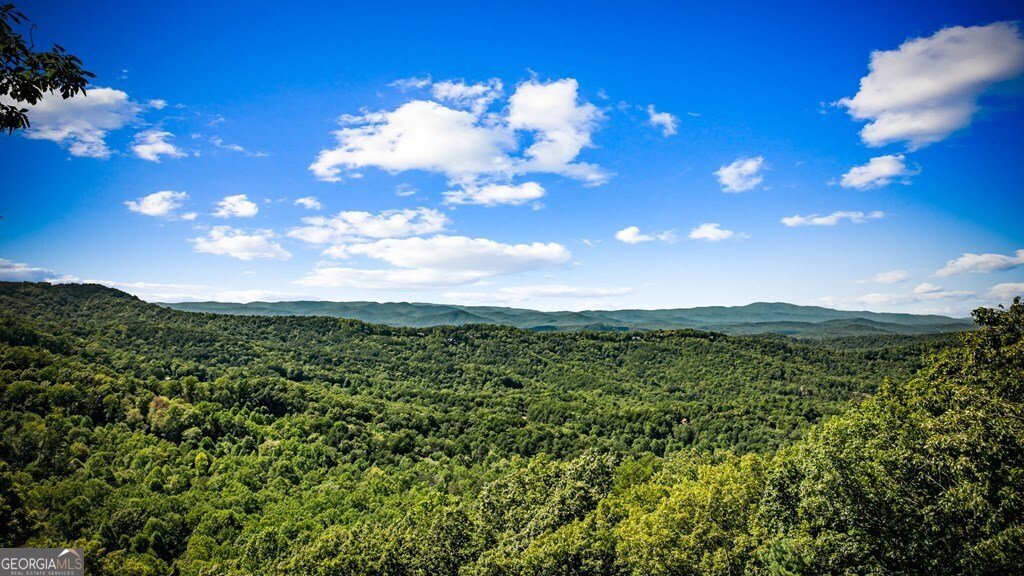 55 Grand Vista Blue Ridge - 62