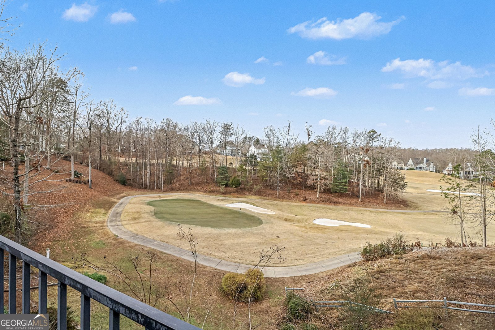 41 Chestatee Square Lane Dawsonville - 16