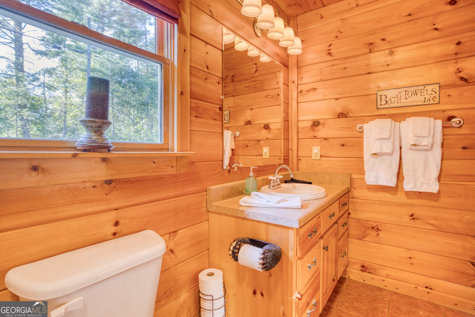 144 Clark Drive Ellijay - 27