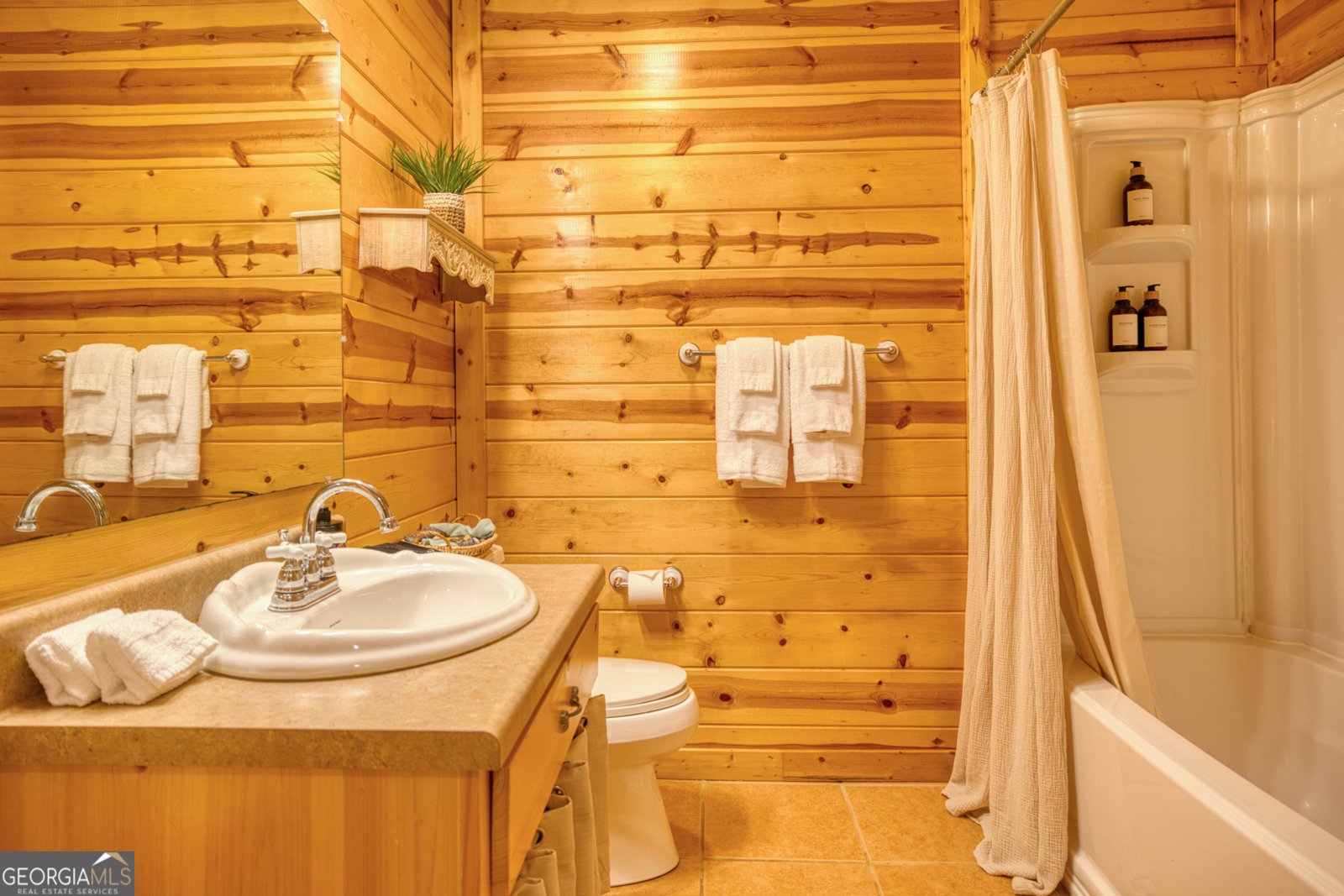 144 Clark Drive Ellijay - 35