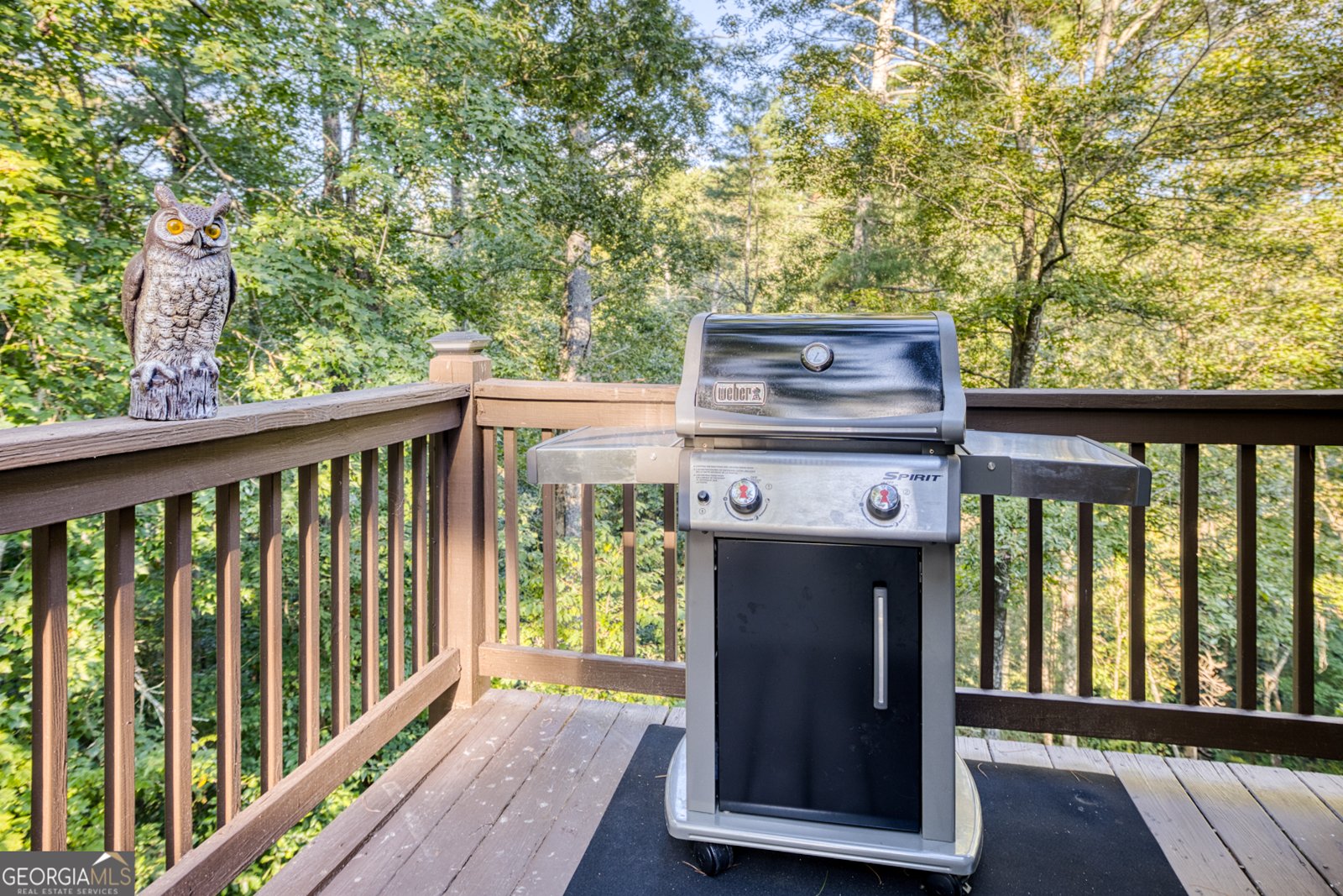 144 Clark Drive Ellijay - 71