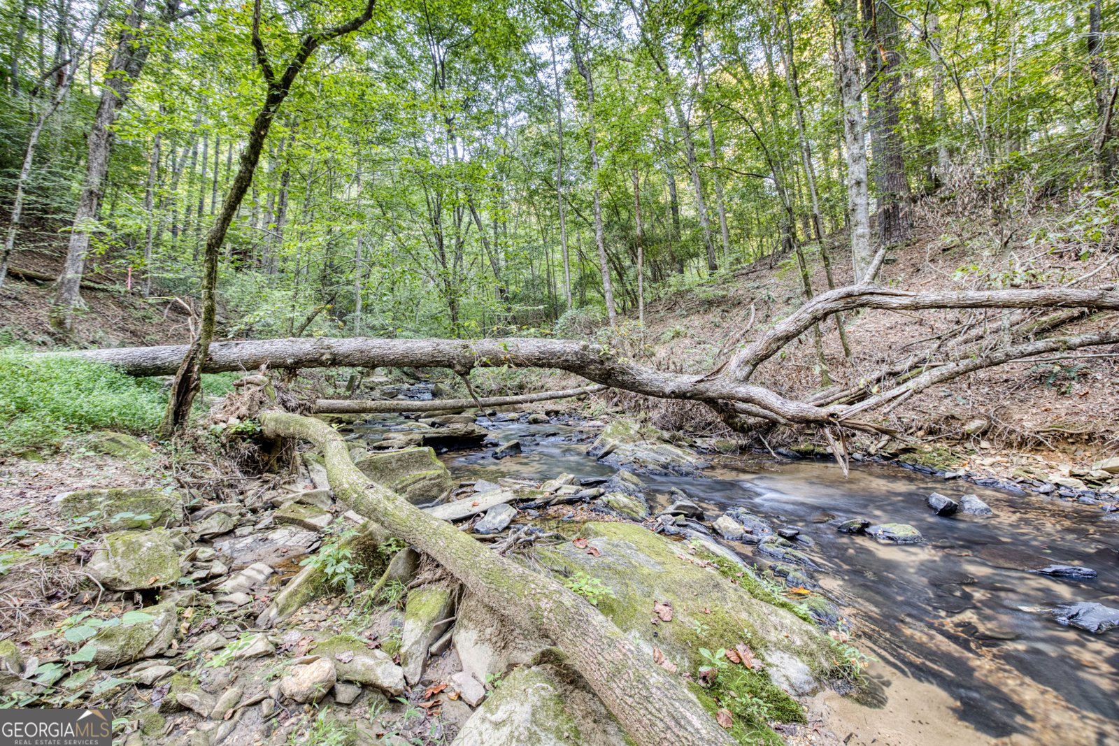 144 Clark Drive Ellijay - 78