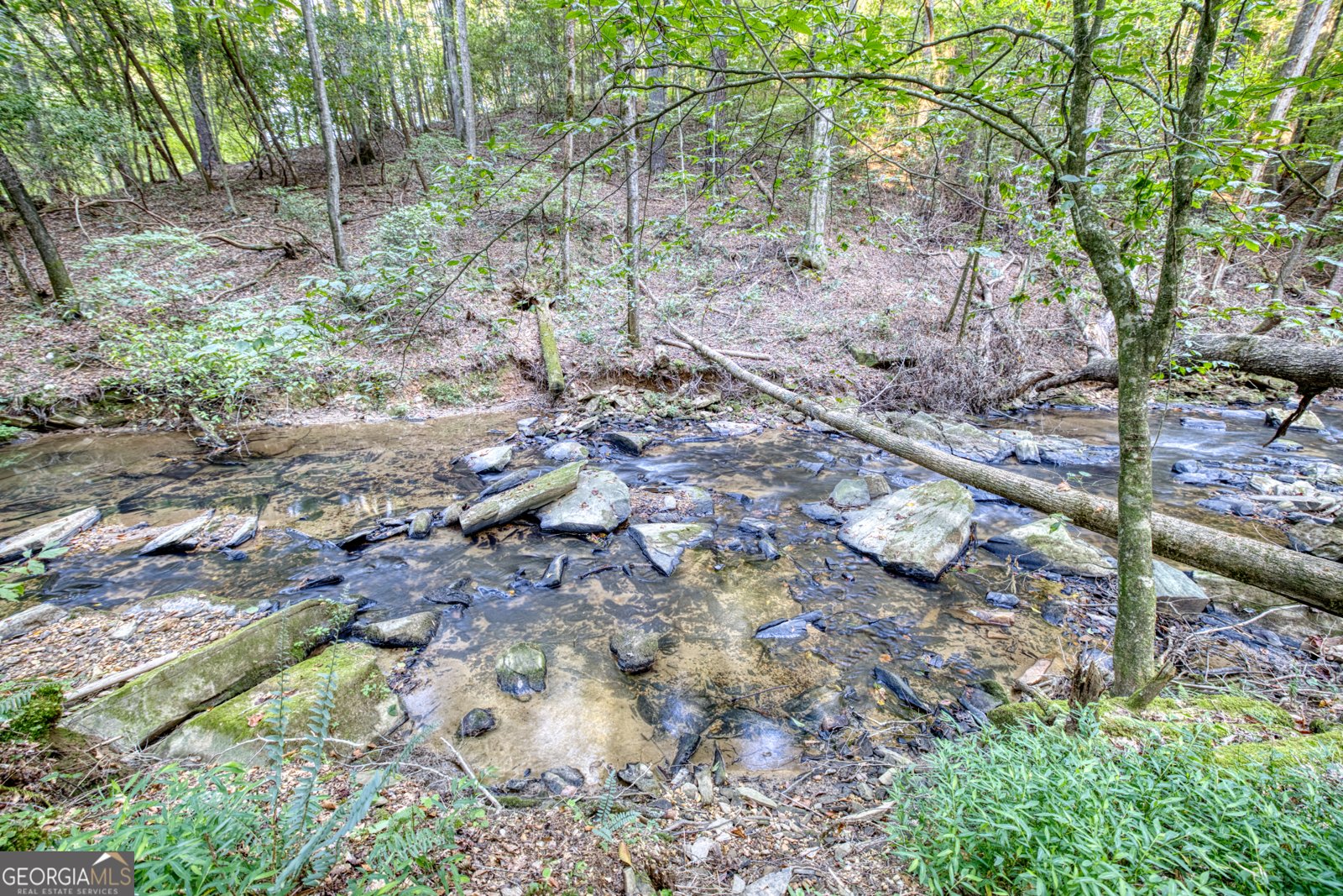 144 Clark Drive Ellijay - 80