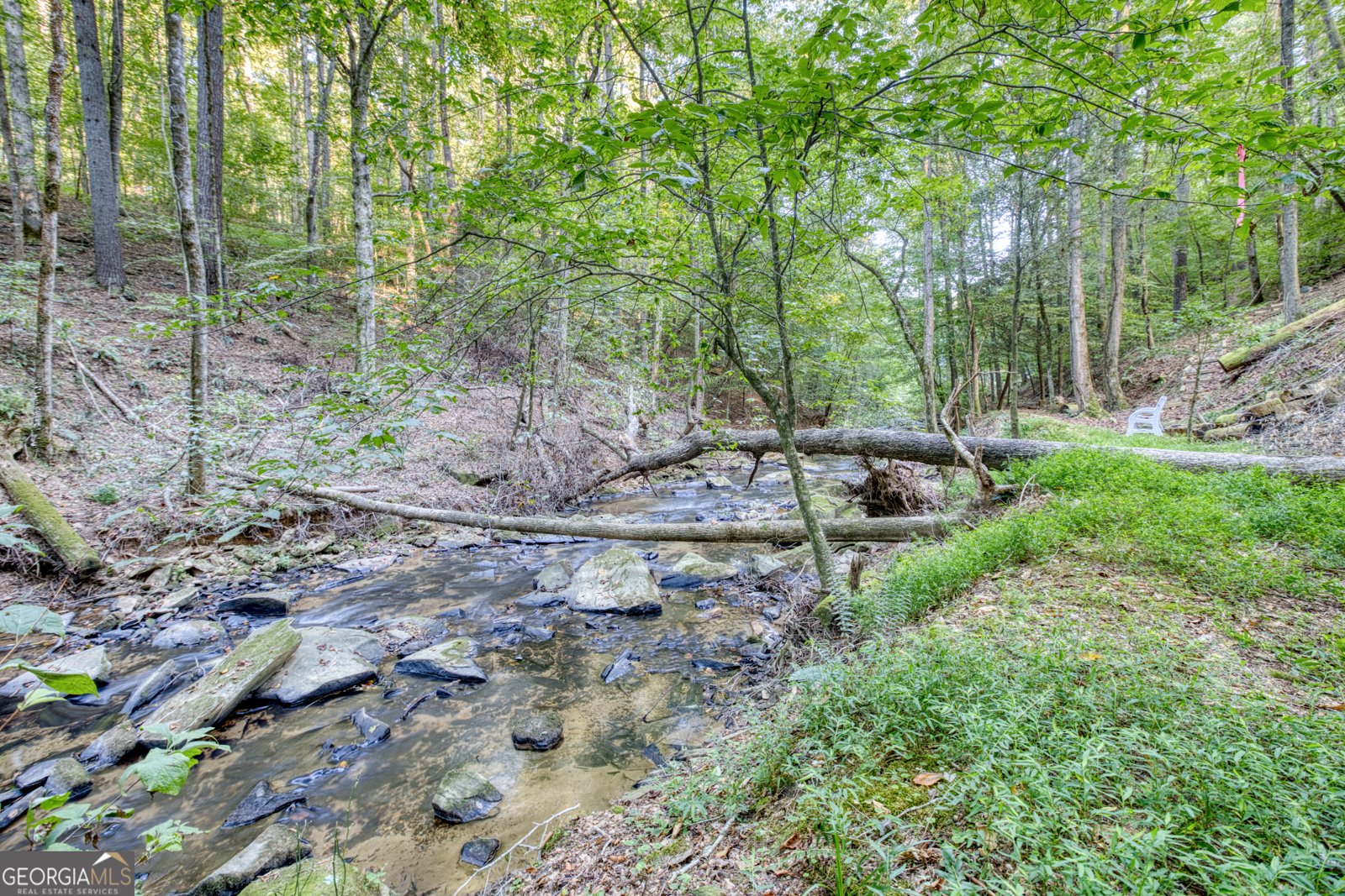 144 Clark Drive Ellijay - 81