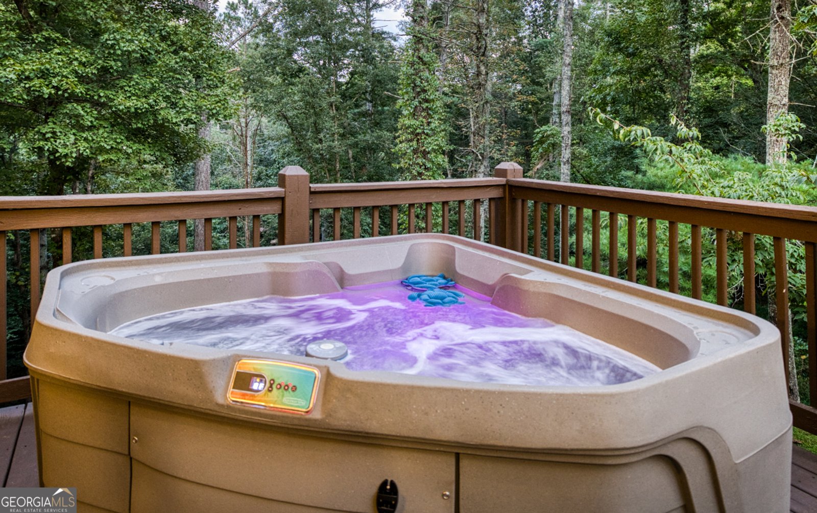 144 Clark Drive Ellijay - 93