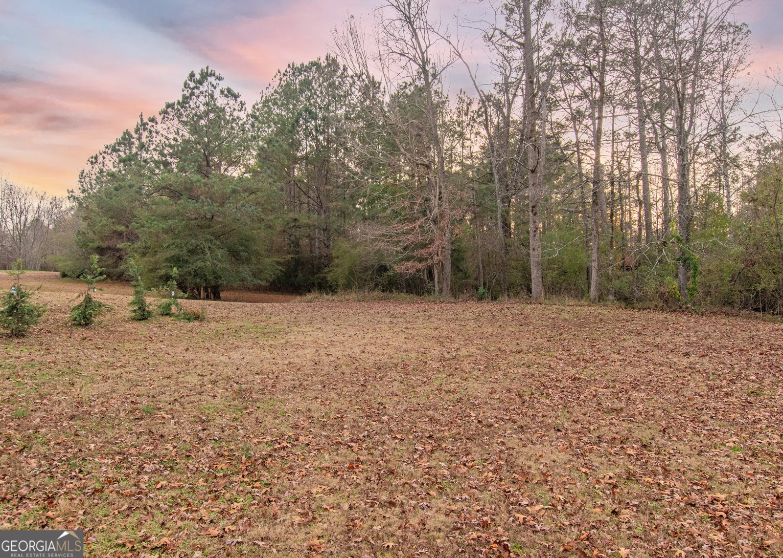 108 Ashtonbrook Drive McDonough - 44