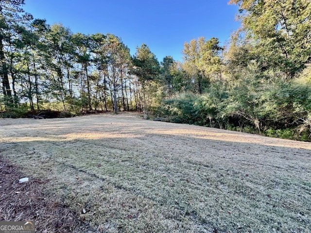 3919 Hamilton Road LaGrange - 20