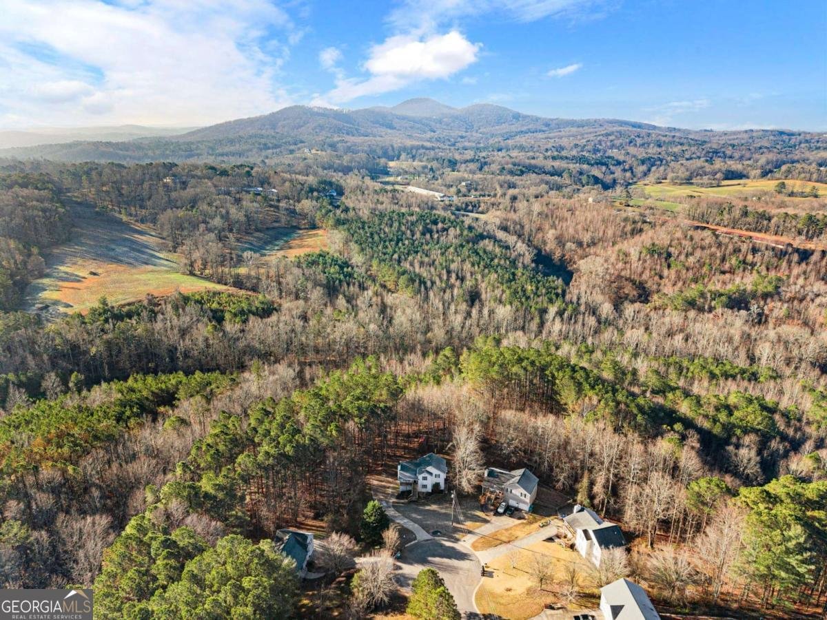 236 White Pine Way Jasper - 46