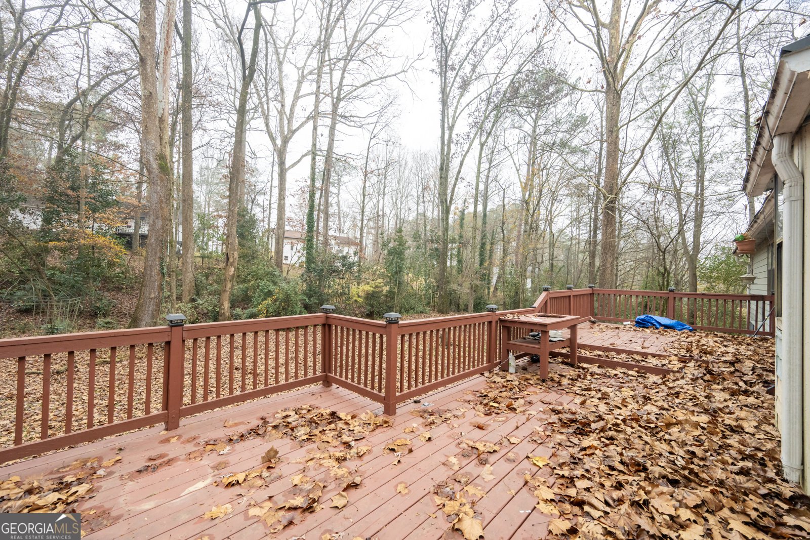 209 Pinewood Lane Stockbridge - 30