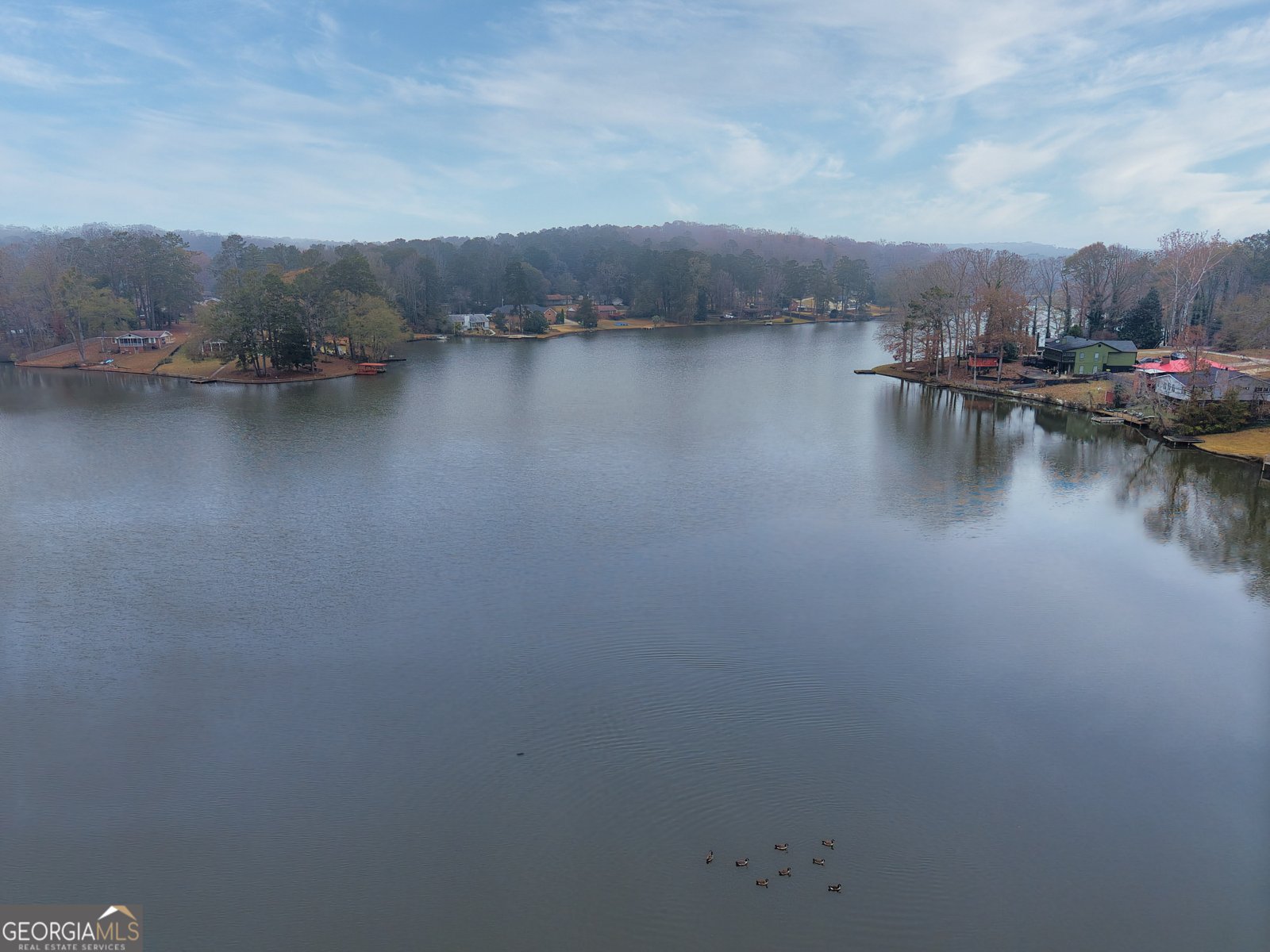 209 Pinewood Lane Stockbridge - 40