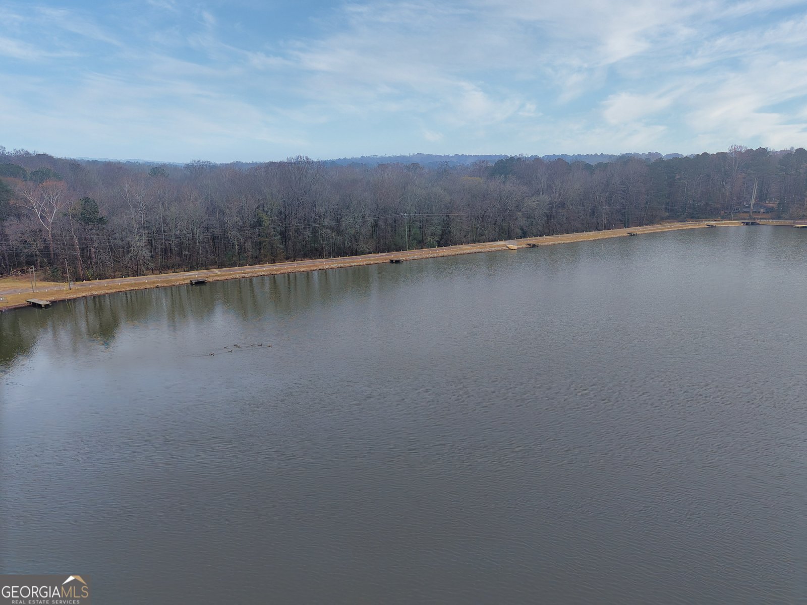 209 Pinewood Lane Stockbridge - 45