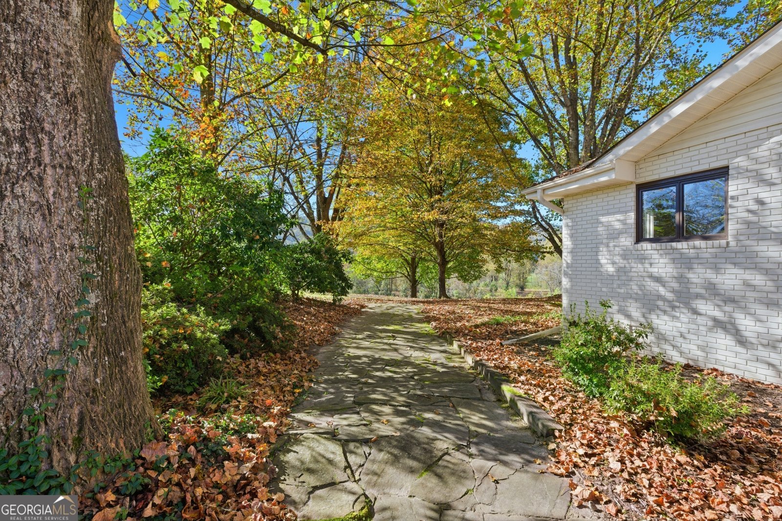 230 Majors Lane Rabun Gap - 52