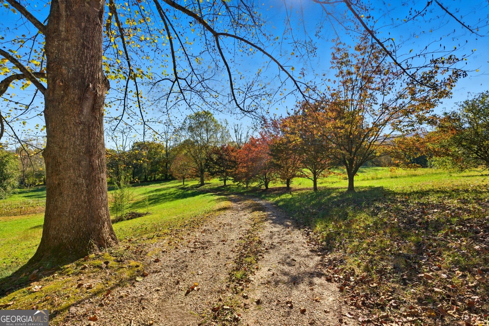 230 Majors Lane Rabun Gap - 7